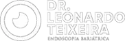 leonardo teixeira logo